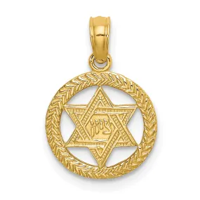 14K Yellow Gold Polish Texture Finish Star Of David In Circle Pendant