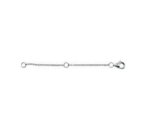 2in Chain Extender in Platinum