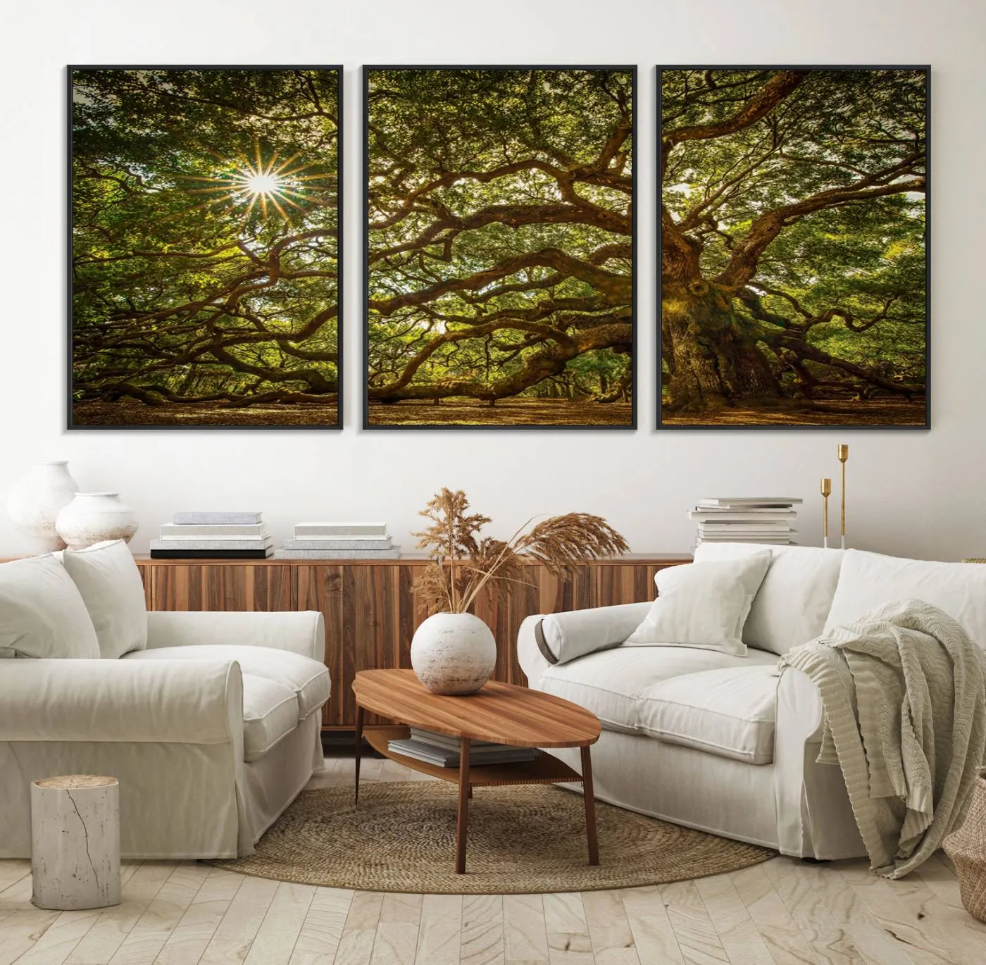 Ancient Angel Oak Tree Art Sunburst Canvas Print- Nature-Inspired Triptych Canvas Print, Framed, Ready to Hang