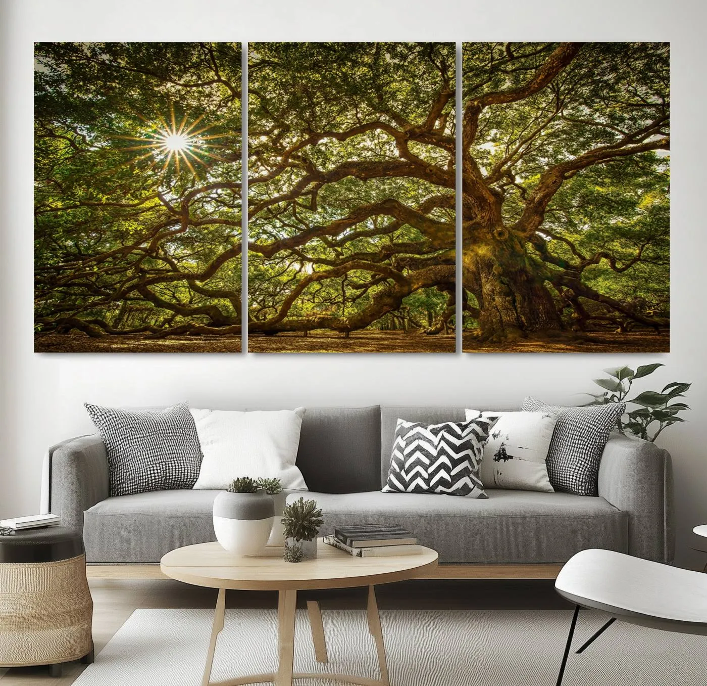 Ancient Angel Oak Tree Art Sunburst Canvas Print- Nature-Inspired Triptych Canvas Print, Framed, Ready to Hang