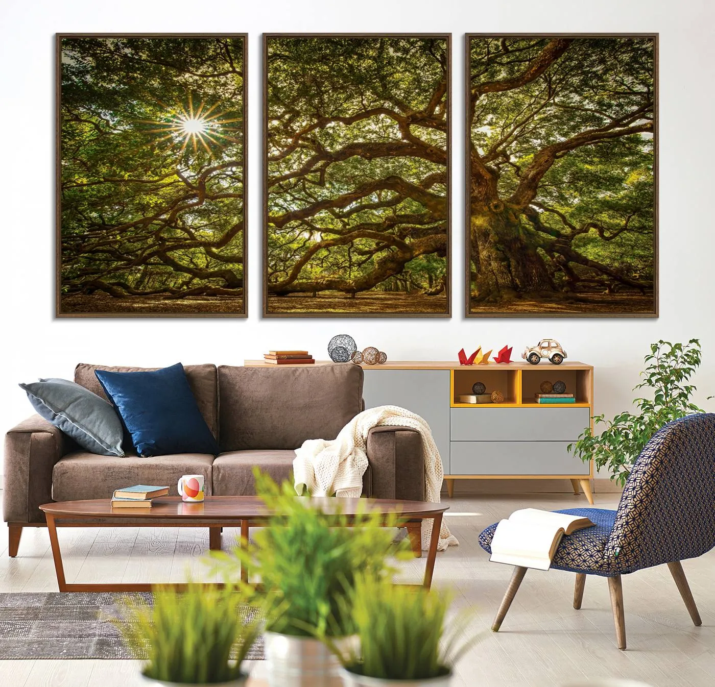 Ancient Angel Oak Tree Art Sunburst Canvas Print- Nature-Inspired Triptych Canvas Print, Framed, Ready to Hang