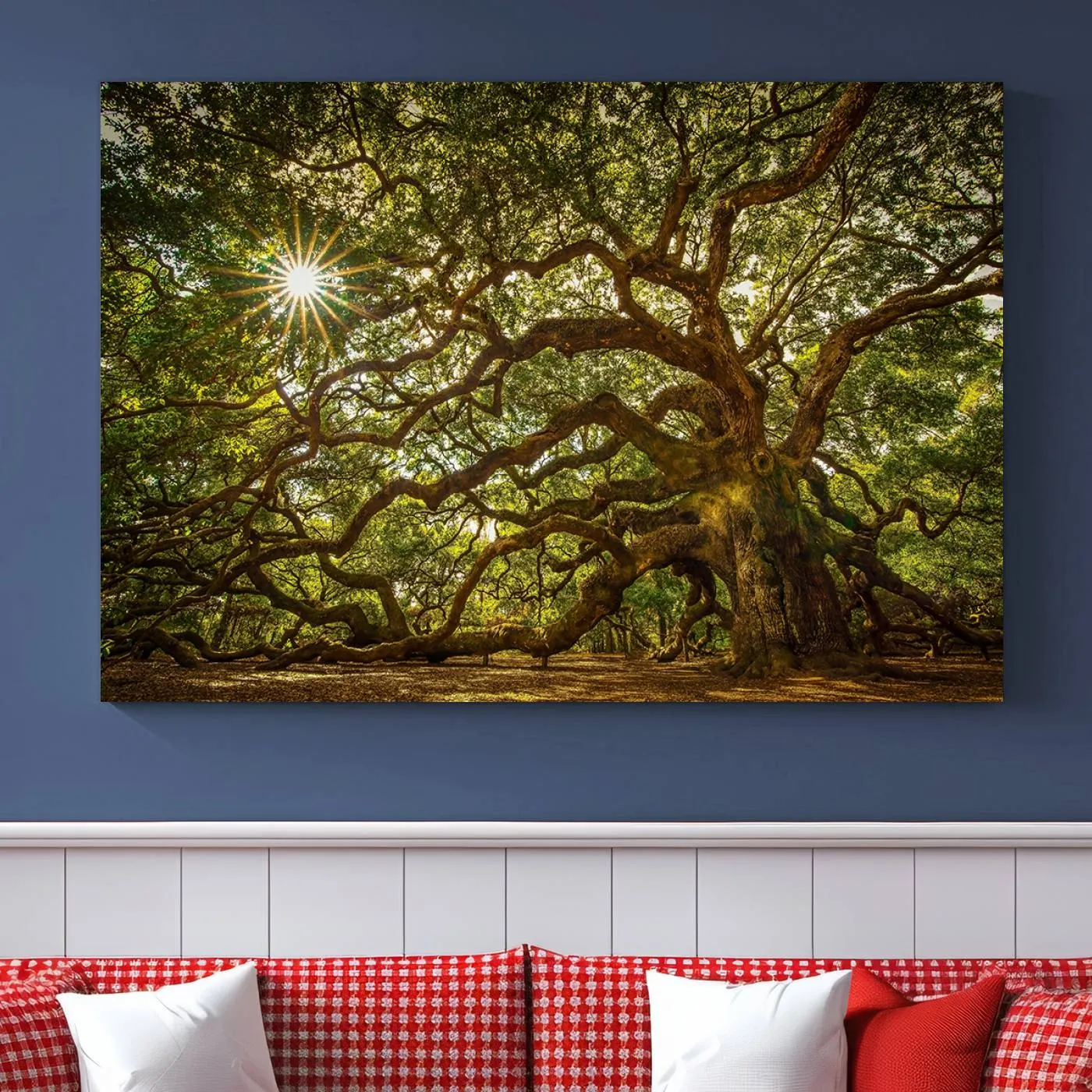 Ancient Angel Oak Tree Art Sunburst Canvas Print- Nature-Inspired Triptych Canvas Print, Framed, Ready to Hang