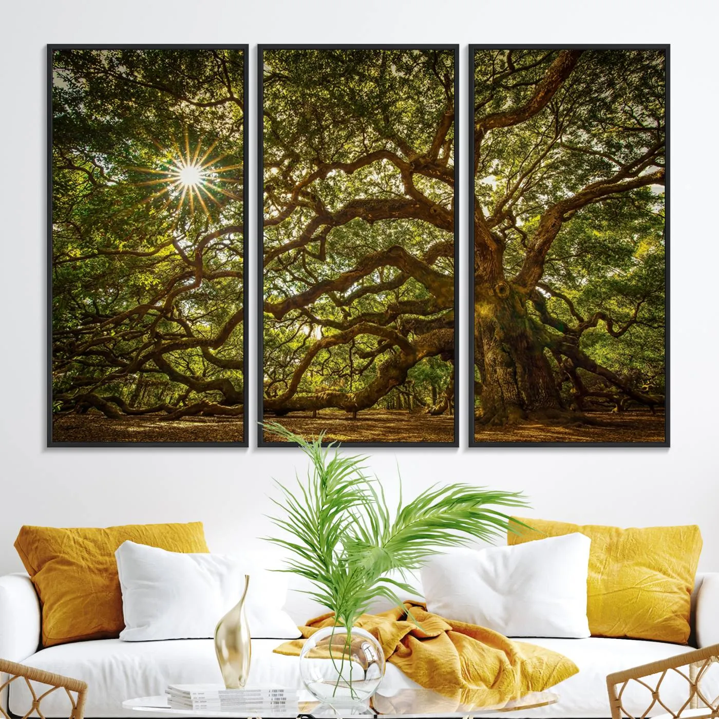 Ancient Angel Oak Tree Art Sunburst Canvas Print- Nature-Inspired Triptych Canvas Print, Framed, Ready to Hang
