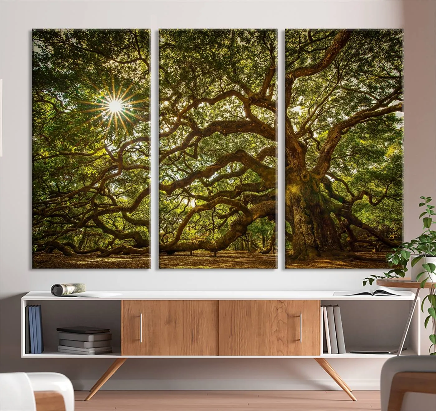 Ancient Angel Oak Tree Art Sunburst Canvas Print- Nature-Inspired Triptych Canvas Print, Framed, Ready to Hang