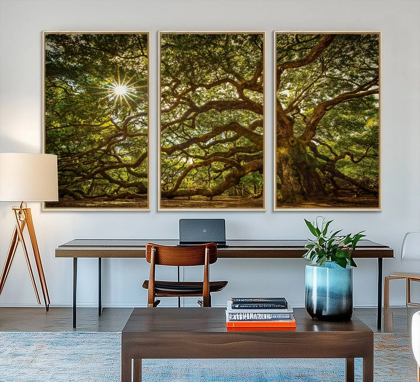 Ancient Angel Oak Tree Art Sunburst Canvas Print- Nature-Inspired Triptych Canvas Print, Framed, Ready to Hang