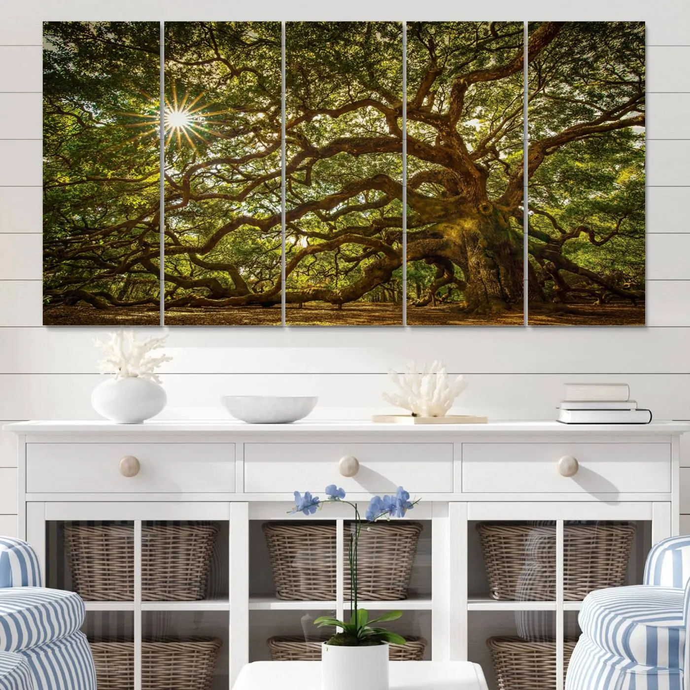Ancient Angel Oak Tree Art Sunburst Canvas Print- Nature-Inspired Triptych Canvas Print, Framed, Ready to Hang