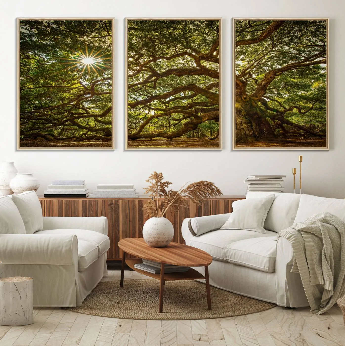 Ancient Angel Oak Tree Art Sunburst Canvas Print- Nature-Inspired Triptych Canvas Print, Framed, Ready to Hang