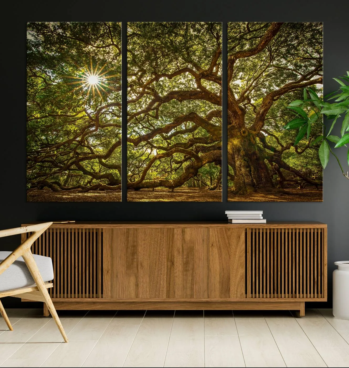 Ancient Angel Oak Tree Art Sunburst Canvas Print- Nature-Inspired Triptych Canvas Print, Framed, Ready to Hang