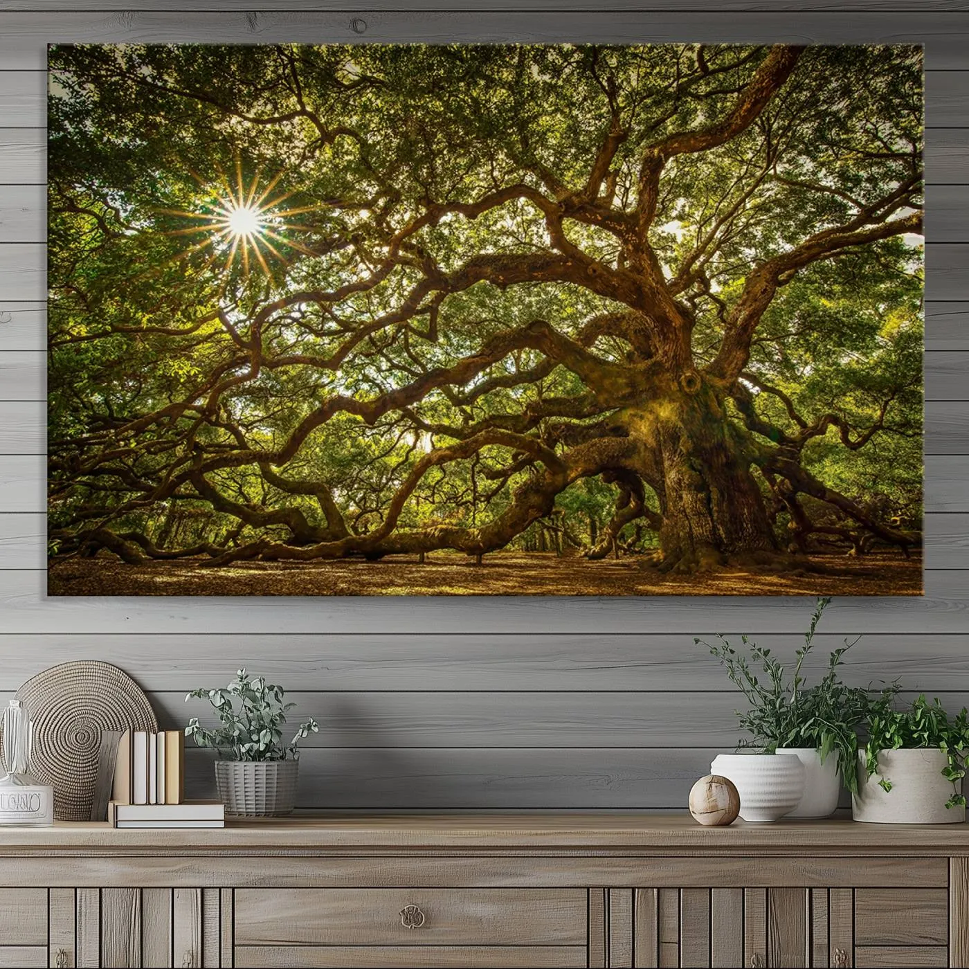 Ancient Angel Oak Tree Art Sunburst Canvas Print- Nature-Inspired Triptych Canvas Print, Framed, Ready to Hang