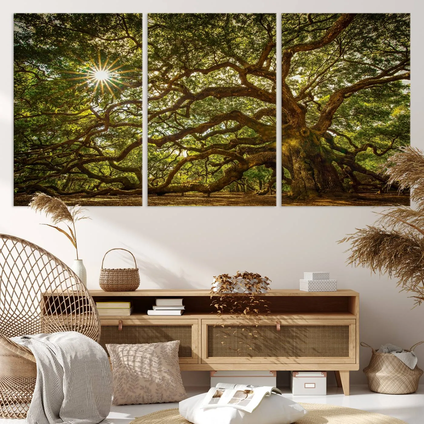 Ancient Angel Oak Tree Art Sunburst Canvas Print- Nature-Inspired Triptych Canvas Print, Framed, Ready to Hang