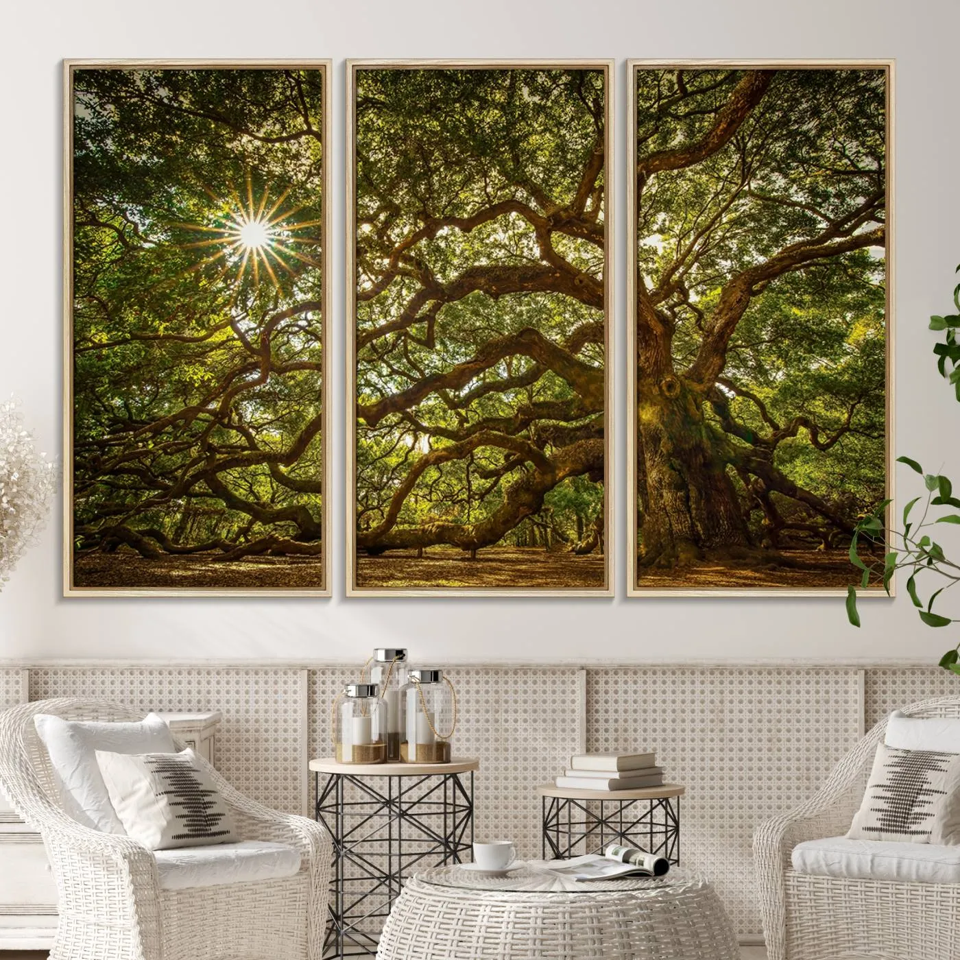Ancient Angel Oak Tree Art Sunburst Canvas Print- Nature-Inspired Triptych Canvas Print, Framed, Ready to Hang