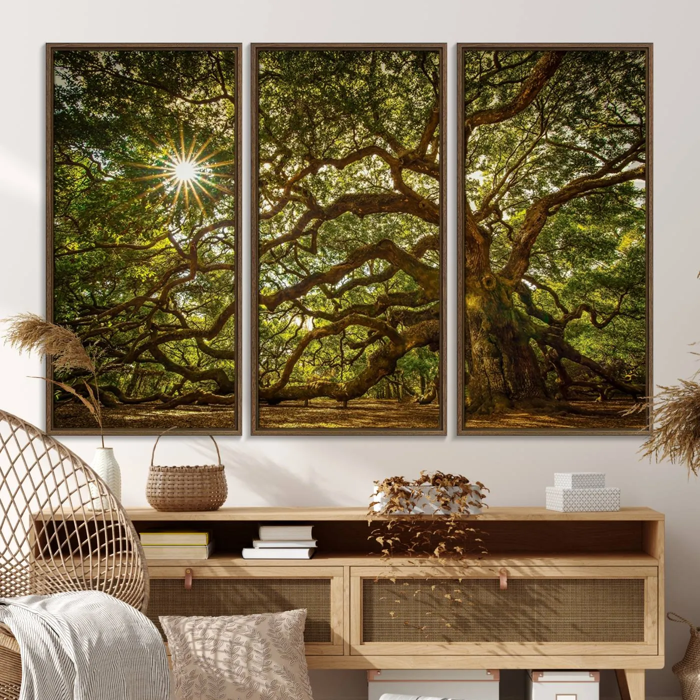 Ancient Angel Oak Tree Art Sunburst Canvas Print- Nature-Inspired Triptych Canvas Print, Framed, Ready to Hang