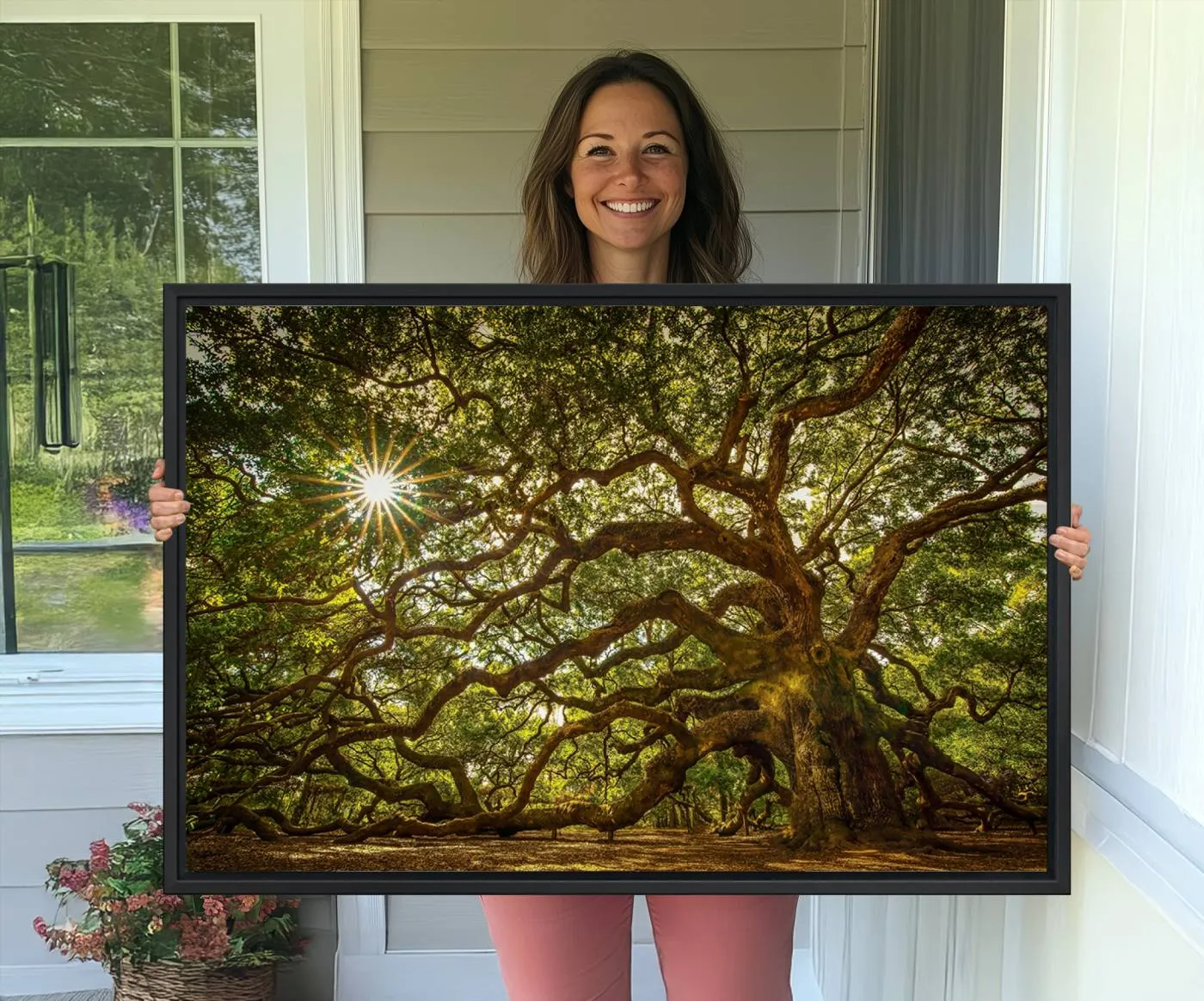 Ancient Angel Oak Tree Art Sunburst Canvas Print- Nature-Inspired Triptych Canvas Print, Framed, Ready to Hang