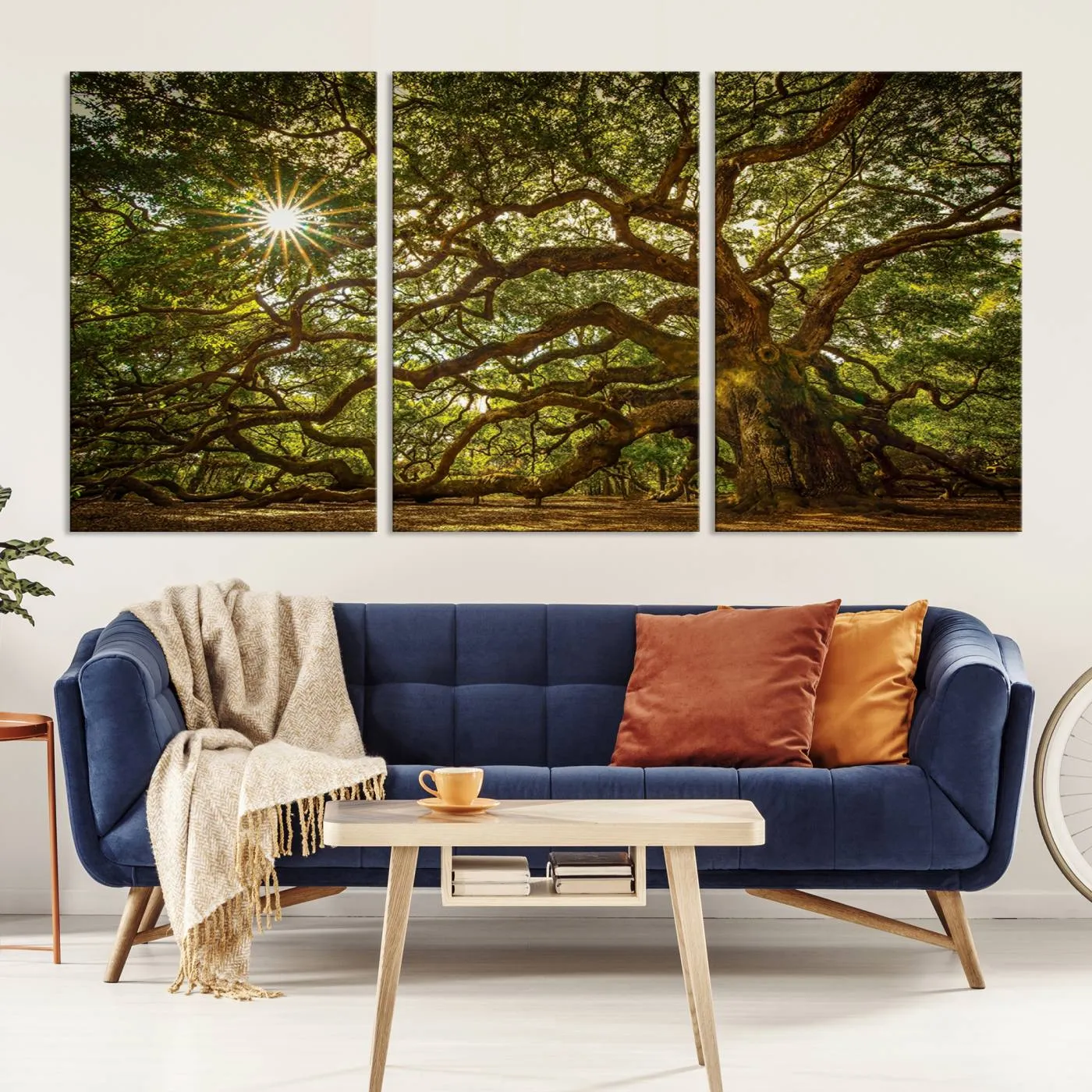 Ancient Angel Oak Tree Art Sunburst Canvas Print- Nature-Inspired Triptych Canvas Print, Framed, Ready to Hang